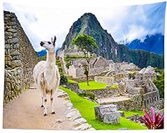 Loccor machu picchu for sale  Delivered anywhere in USA 