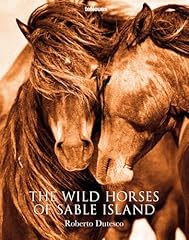 Wild horses sable for sale  Delivered anywhere in USA 