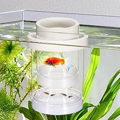 Aufzuchtbecken aquarium schwim gebraucht kaufen  Wird an jeden Ort in Deutschland