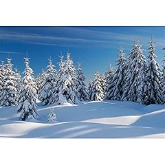 Winter wald schnee gebraucht kaufen  Wird an jeden Ort in Deutschland