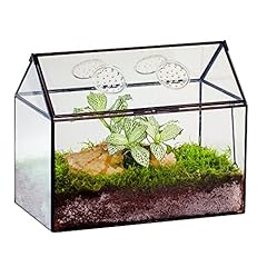 Ncyp glass terrarium for sale  Delivered anywhere in UK