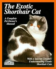 Exotic shorthair cat for sale  Delivered anywhere in USA 