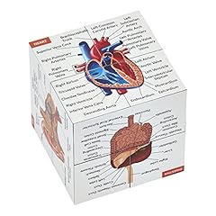 Human anatomy study for sale  Delivered anywhere in UK