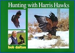 Hunting harris hawks for sale  Delivered anywhere in Ireland