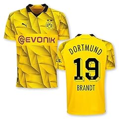 Puma bvb cup gebraucht kaufen  Wird an jeden Ort in Deutschland