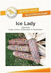 Ziermaissamen ice lady gebraucht kaufen  Wird an jeden Ort in Deutschland