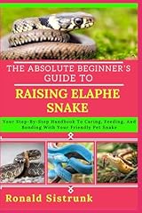 The absolute beginner gebraucht kaufen  Wird an jeden Ort in Deutschland
