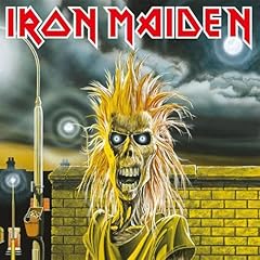 Iron maiden vinyl gebraucht kaufen  Wird an jeden Ort in Deutschland