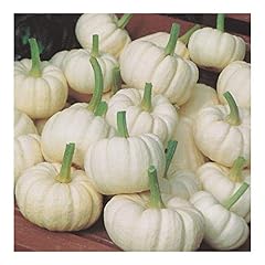 Premier seeds direct for sale  Delivered anywhere in UK