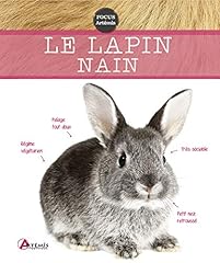 Lapin nain d'occasion  Livré partout en Belgiqu