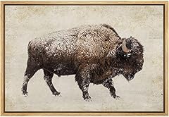 Signleader framed canvas for sale  Delivered anywhere in USA 