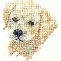 Golden labrador puppy for sale  Delivered anywhere in UK