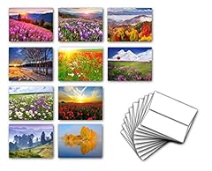 Flowers landscapes note for sale  Delivered anywhere in USA 