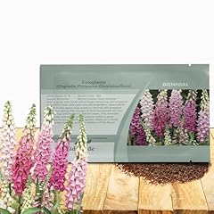 Outsidepride digitalis purpure for sale  Delivered anywhere in USA 