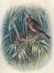 Iplupjdy peinture poster d'occasion  Livré partout en France