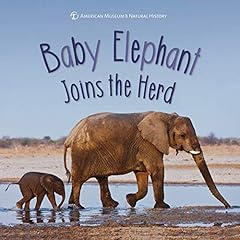Baby elephant joins for sale  Delivered anywhere in USA 