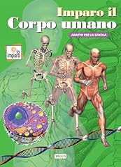 Imparo corpo umano. usato  Spedito ovunque in Italia 