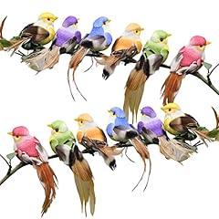 12pcs small birds for sale  Delivered anywhere in UK