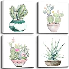 Dgbtcart succulent plants for sale  Delivered anywhere in USA 