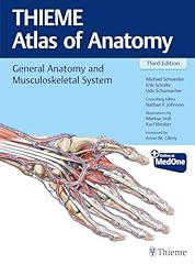 General anatomy musculoskeleta for sale  Delivered anywhere in UK