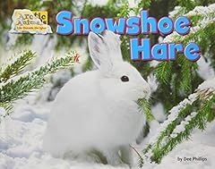 Snowshoe hare for sale  Delivered anywhere in USA 