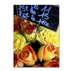 Paris roses artwork for sale  Delivered anywhere in USA 