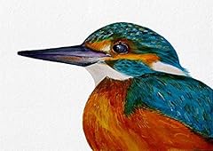 Kingfisher bird portrait for sale  Delivered anywhere in UK