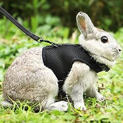 Pettom bunny rabbit for sale  Delivered anywhere in USA 