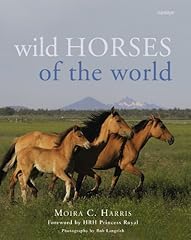 Wild horses moira for sale  Delivered anywhere in UK
