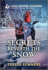 Secrets beneath snow for sale  Delivered anywhere in USA 