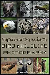 Beginner guide bird for sale  Delivered anywhere in USA 