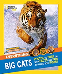 Everything big cats for sale  Delivered anywhere in UK