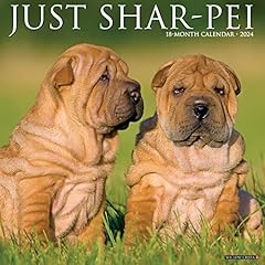 Shar peis 2024 for sale  Delivered anywhere in UK