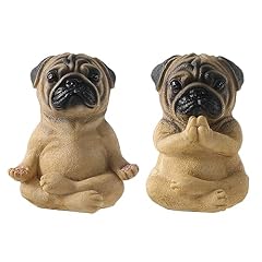 Rayberro pack yoga for sale  Delivered anywhere in USA 