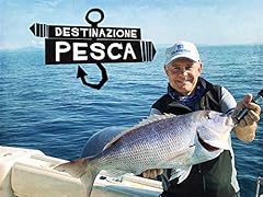 Destinazione pesca usato  Spedito ovunque in Italia 