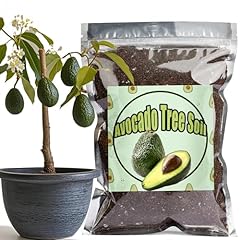 Organic avocado tree for sale  Delivered anywhere in UK