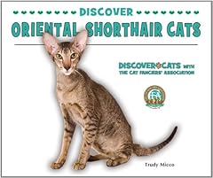 Discover oriental shorthair for sale  Delivered anywhere in UK