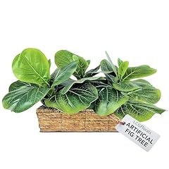 Lcg florals inch for sale  Delivered anywhere in USA 