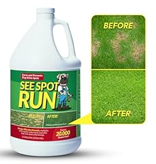 See spot run for sale  Delivered anywhere in USA 