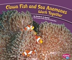 Clown fish sea for sale  Delivered anywhere in USA 