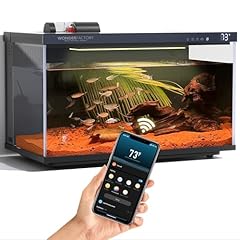 Smart aquarium fish for sale  Delivered anywhere in USA 