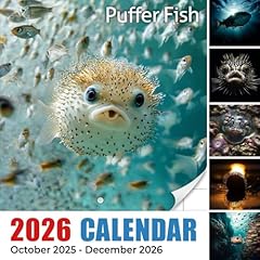 Puffer fish 2026 for sale  Delivered anywhere in UK