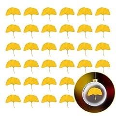 Vynyjoan dried ginkgo for sale  Delivered anywhere in USA 