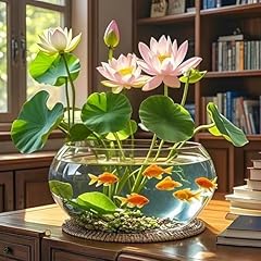 Inches large lotus for sale  Delivered anywhere in USA 