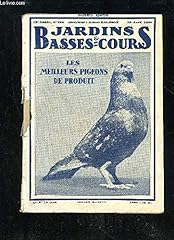 pigeon cauchois d'occasion  Livré partout en France