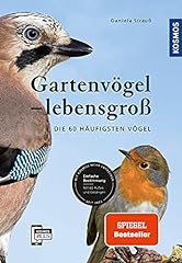 Gartenvögel lebensgroß häuf gebraucht kaufen  Wird an jeden Ort in Deutschland