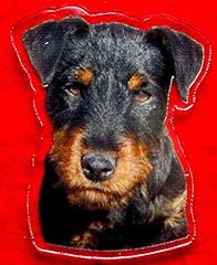 Kdoartisanal magnet chien d'occasion  Livré partout en France
