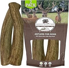 Whitetail naturals deer for sale  Delivered anywhere in USA 