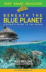 Beneath blue planet for sale  Delivered anywhere in USA 
