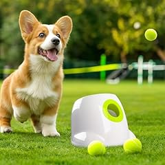 Paws automatic dog for sale  Delivered anywhere in UK